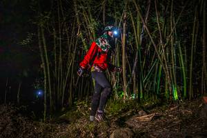 BIB: 
                            <button type="button" onclick="openModal(6933116)" class="btn btn-primary btn-sm float-right btn-popup" data-toggle="modal" data-target=".modal-high-quality">
                        <i class="fas fa-shopping-cart"></i> Add to Cart
                    </button>
                                            <button type="button" onclick="isThisMe(6933116, true)" class="btn btn-success btn-sm float-right btn-popup btn-isme hidden" data-toggle="tooltip" data-placement="bottom" title="นี่คือรูปของคุณใช่ไหม คลิกที่นี่เพื่อเอาเข้าอัลบั้ม">
                        <i class="fas fa-plus"></i> Add to album
                    </button>
                    <button type="button" onclick="isThisMe(6933116, false)" class="btn btn-warning btn-sm float-right btn-popup btn-isnotme hidden">
                        <i class="fas fa-ban"></i> Remove from album
                    </button>